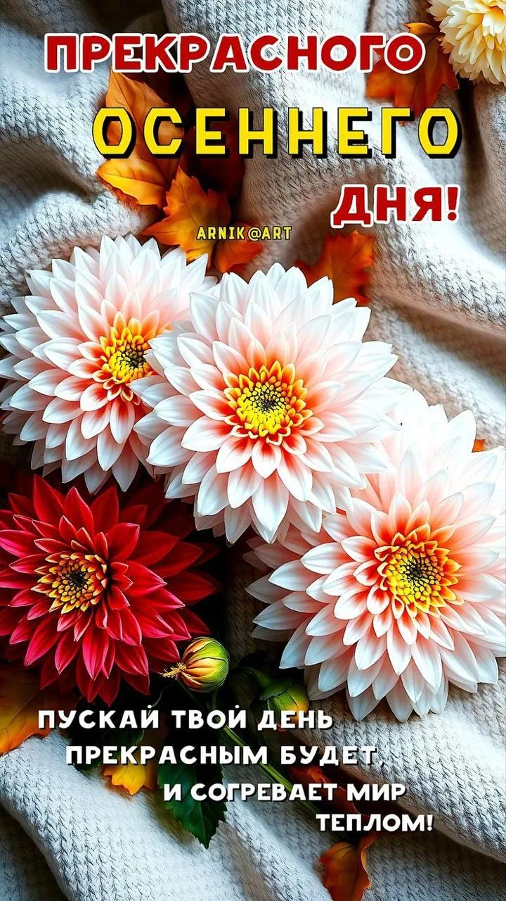 #пожелание