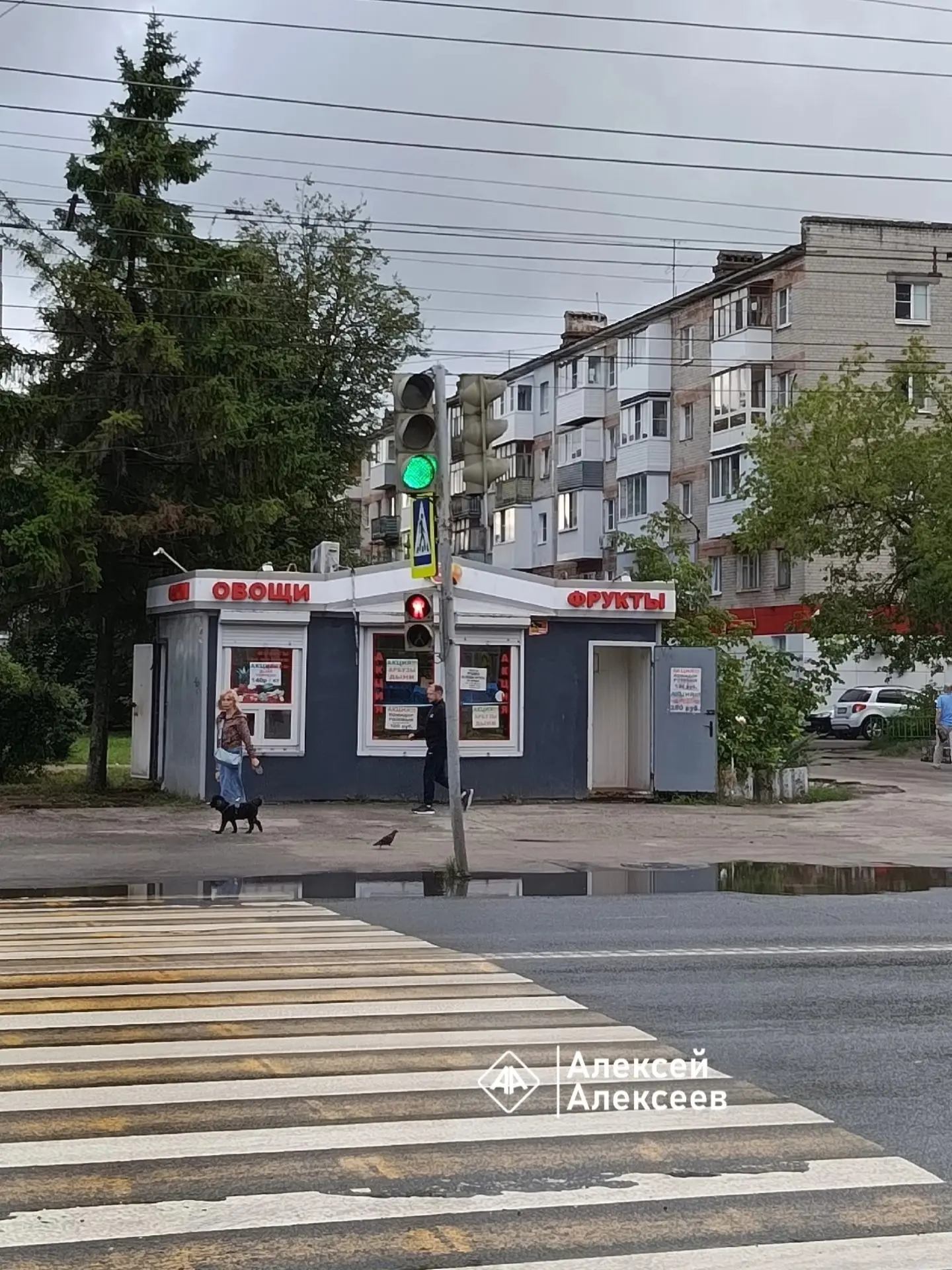 Теперь два

На пешеходном переходе через проспект Циолковского около Дома Книги, теперь для пешеходо
