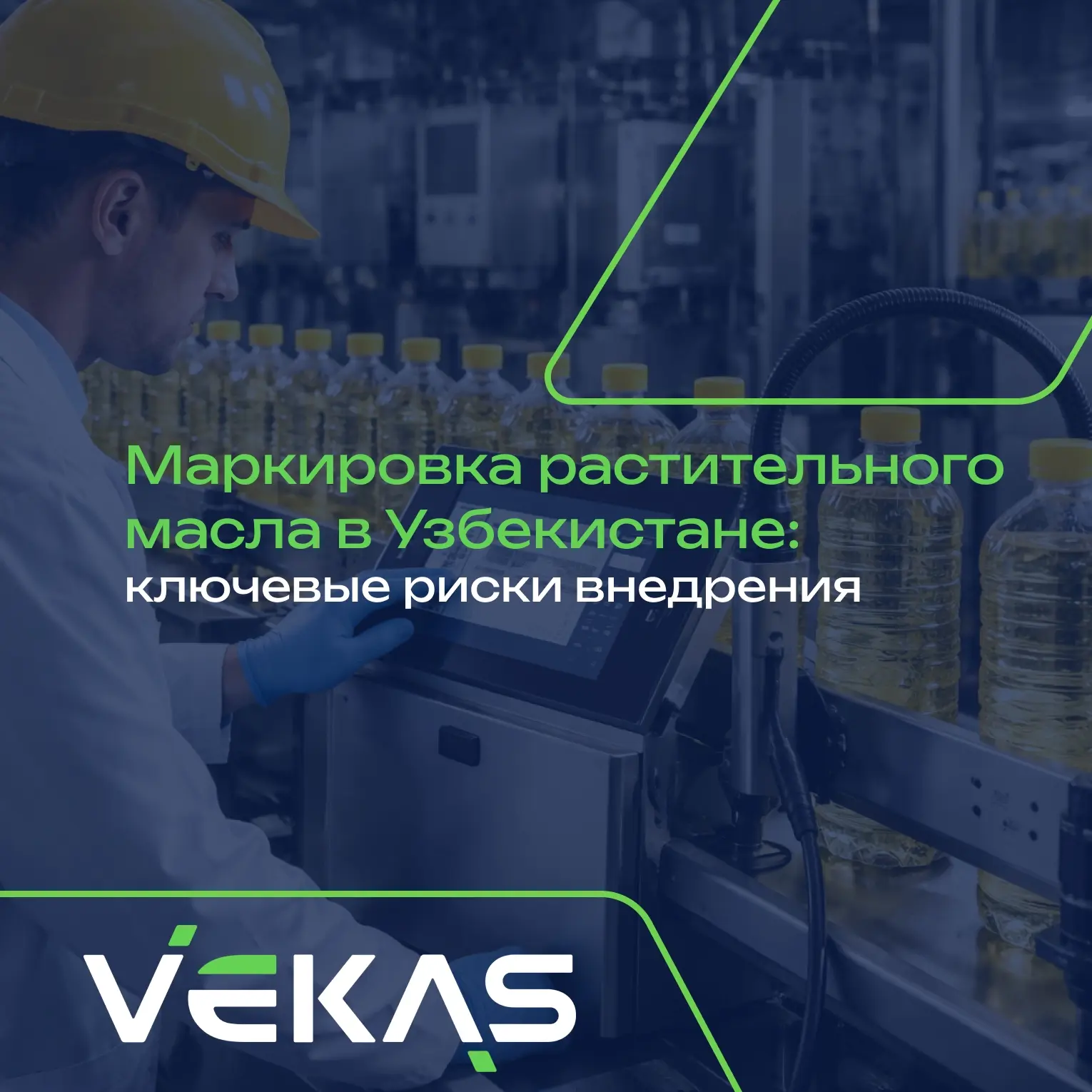С 1 июля 2026 года в Узбекистане стартует эксперимент по обязательной маркировке растительного масла