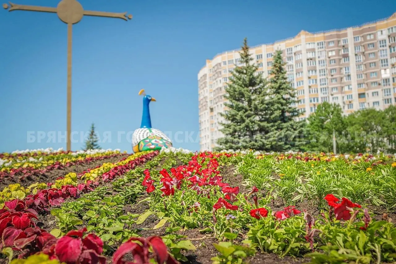 На въезде в Брянск так красиво зацвела Жар-птица 🌺