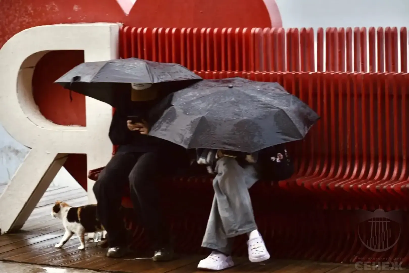 🌧️ Доброе утро, друзья! 

Вторник встречает нас облачностью, дождем и температурой до +17 градусов.