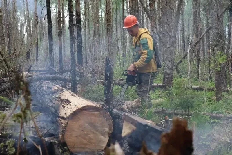 Лесные пожары в Красноярском крае охватили более 83 тысяч гектаров

В Красноярском крае продолжает у