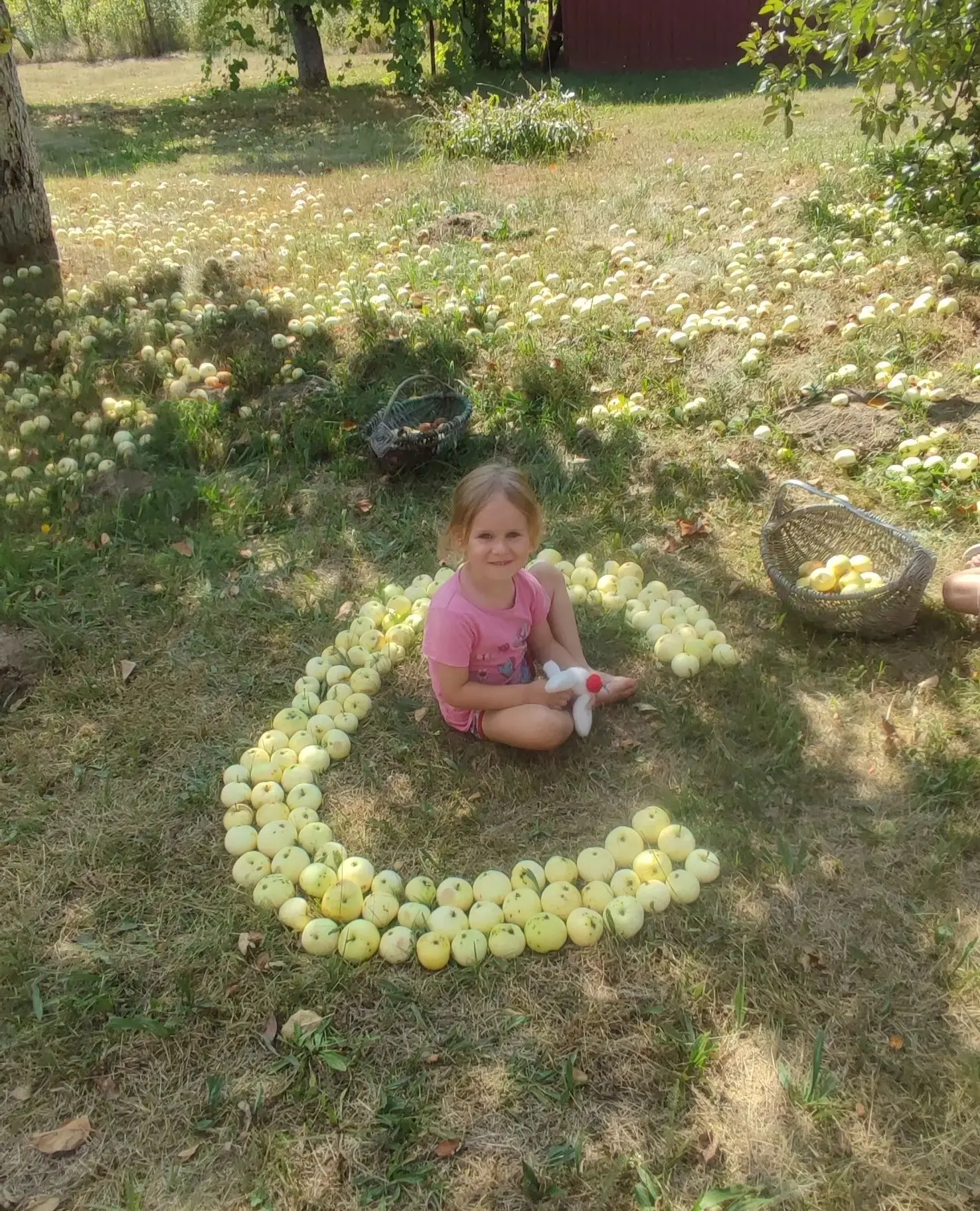 Фотовыставка на канале МАХ "Наш урожай".🍏
