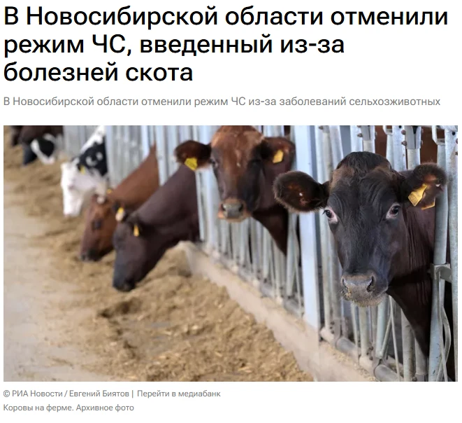 Власти Новосибирской области отменили режим ЧС, введенный ранее из-за заболеваний сельскохозяйственн