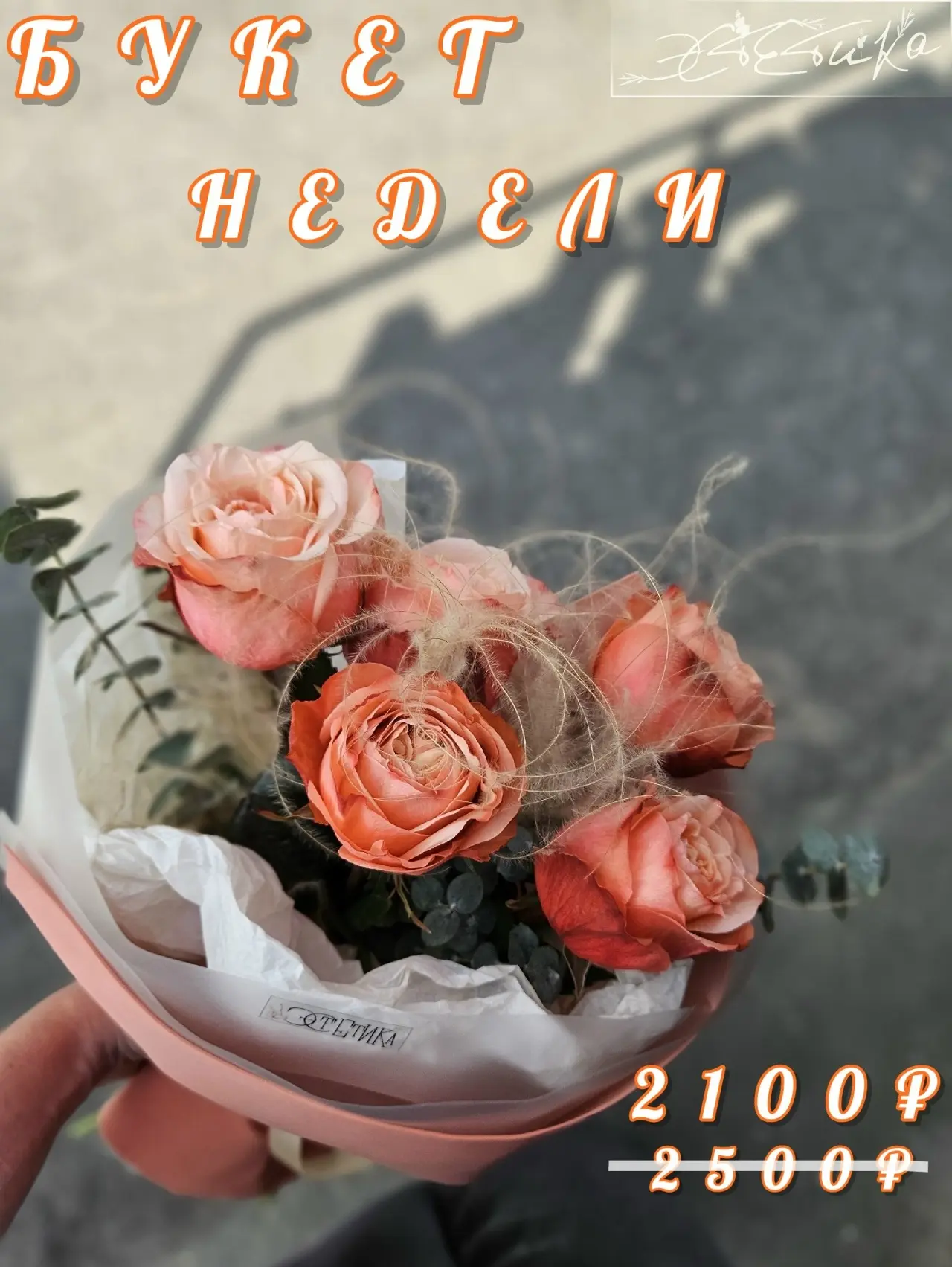📝Пишите:
[контакт скрыт]
📢 Звоните:
+7 (915) 555-80-32
📌 Приходите:
г. Елец, ул. Гагарина, 1а