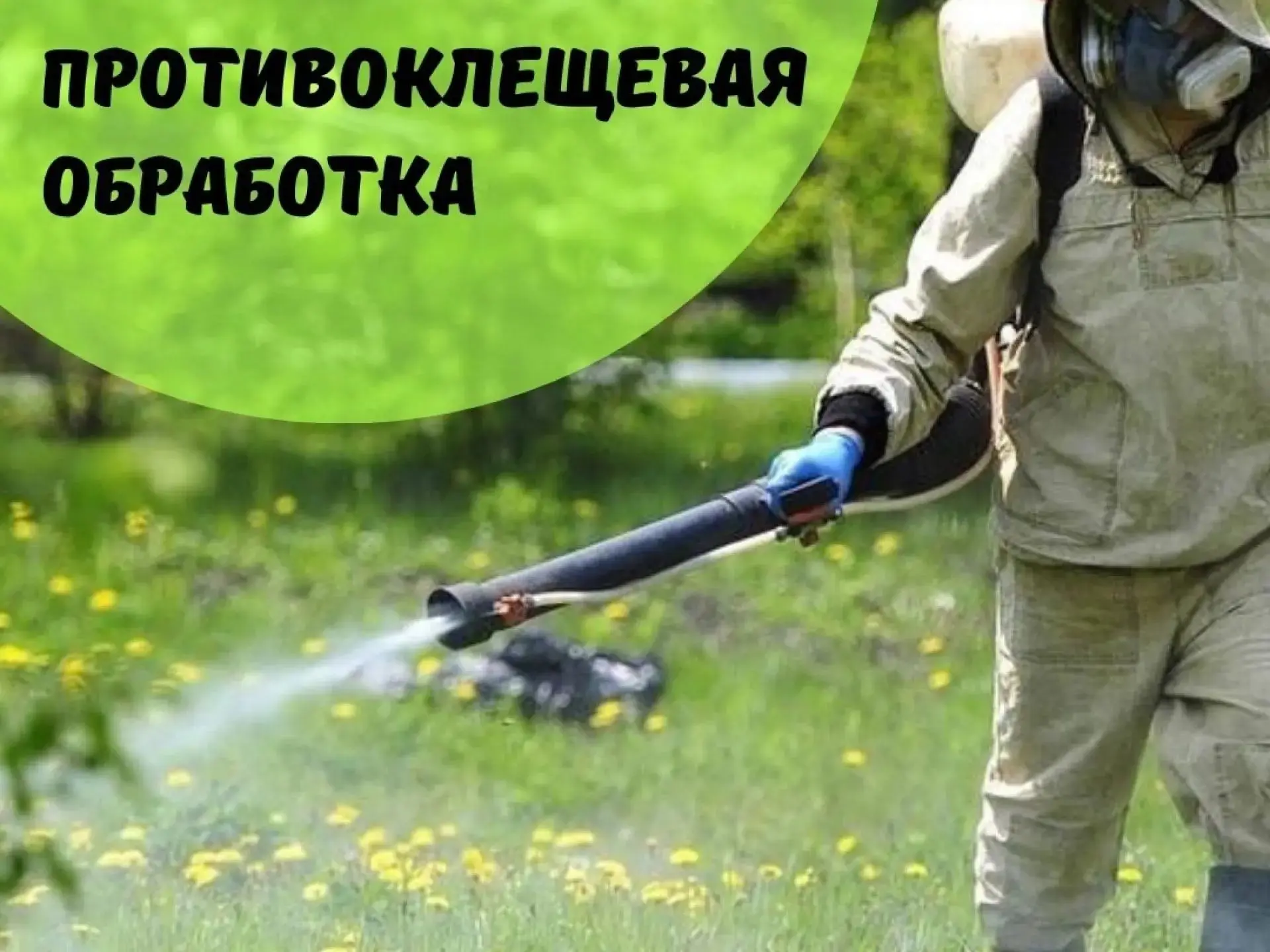 Уважаемые жители и гости Феодосийского округа!