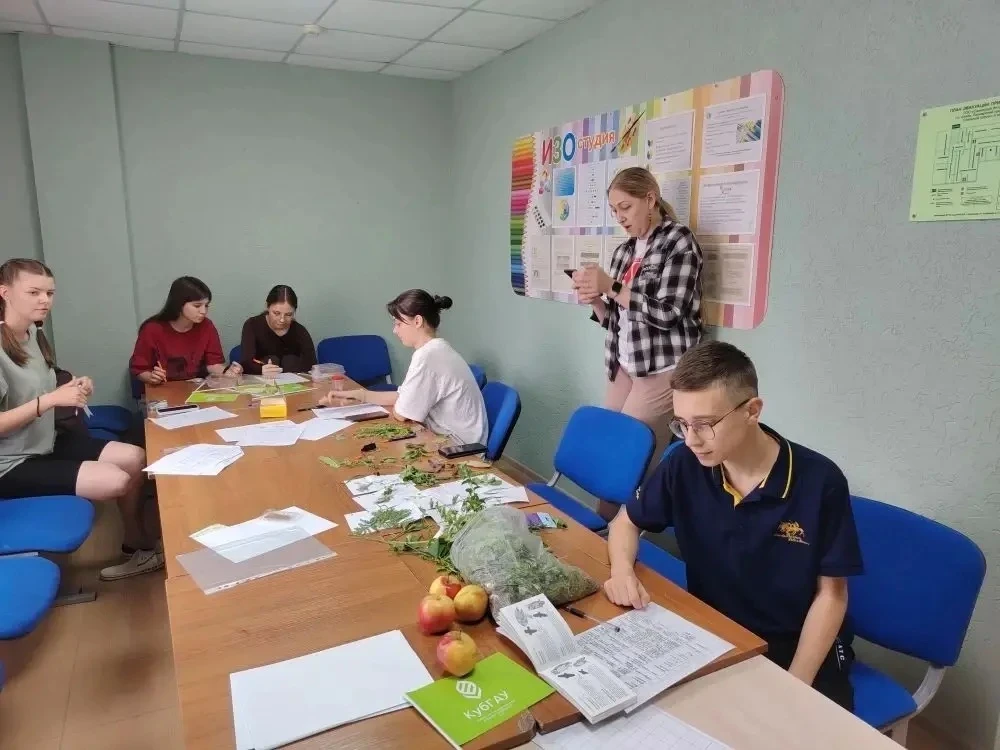 13 мая в Анапе на базе ООО "Санаторий Янтарь" состоялось торжественное открытие краевого интеллектуа