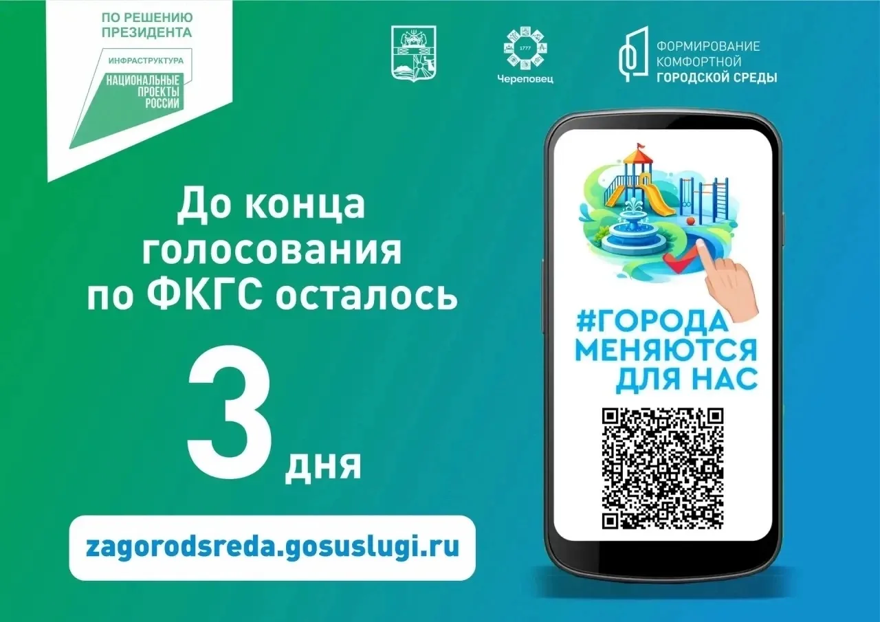 До окончания голосования осталось три дня !