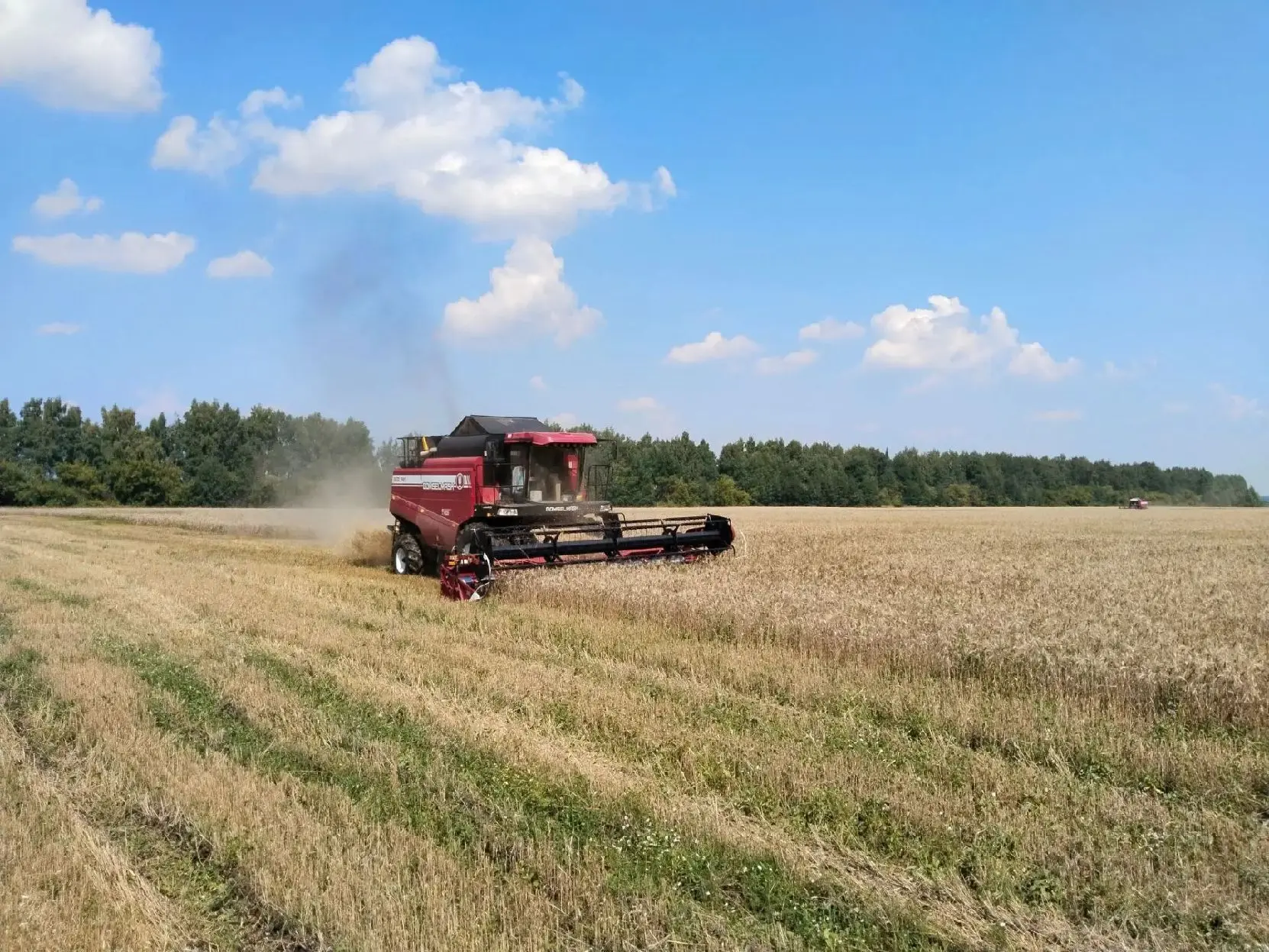🌾 Уборочная кампания стартовала на полях УИС в Кирсановском округе