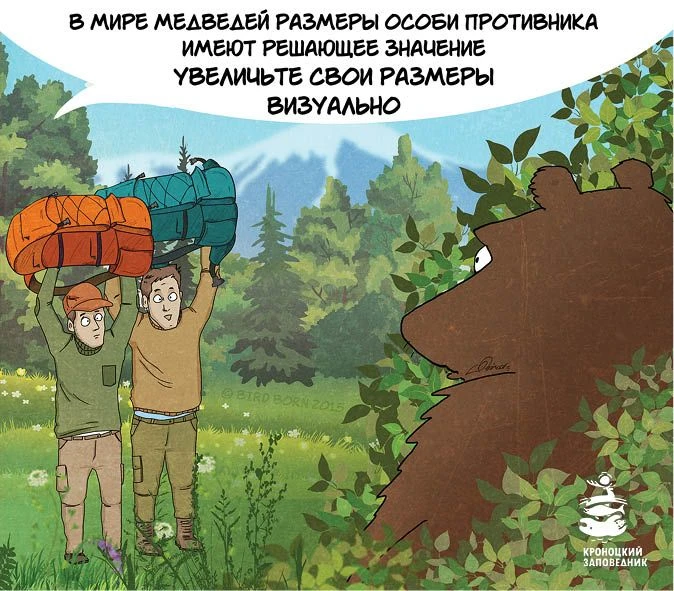 Как избежать нежелательных встреч с медведями в дикой природе, а также что делать, если...