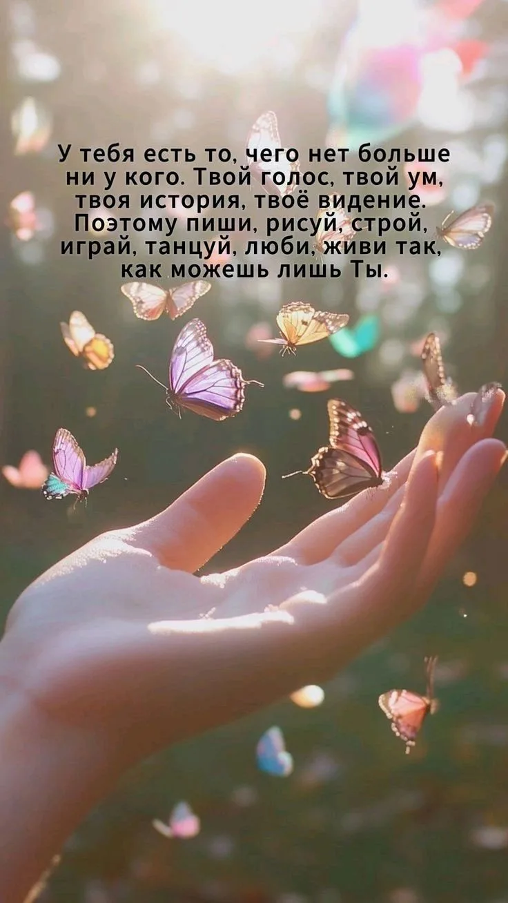 https://max.ru/invista123456