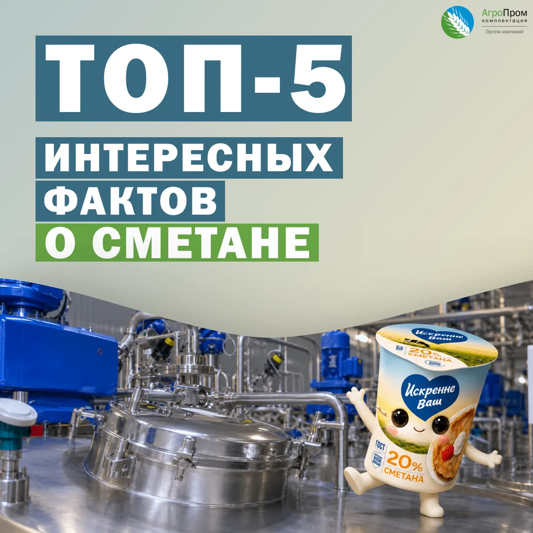 ТОП-5 интересных фактов о сметане 💙