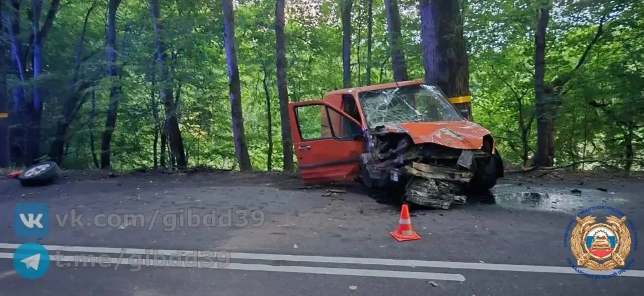Трагедия на дороге: в Зеленоградском районе водитель «Форда» погиб при столкновении с д...