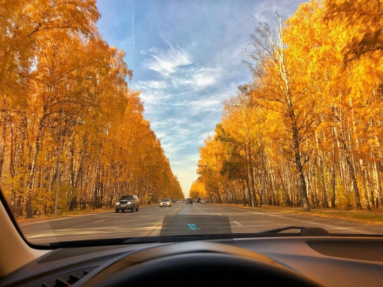 Осень красивая! Доброго всем дня❤️