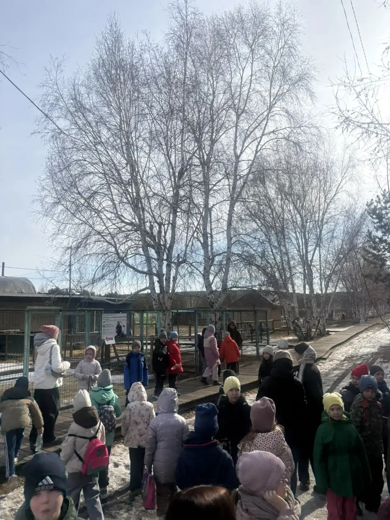 Весенний лучик: День бурятской культуры и встречи с природой! ☀️Сегодня в нашем лагере "Весенний луч