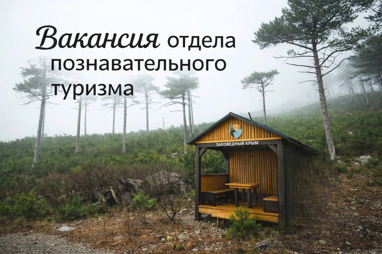 ✅ 🔴Специалист по благоустройству.  

    ▫️График: сменный.

Обязанности: работа с инструментами и 