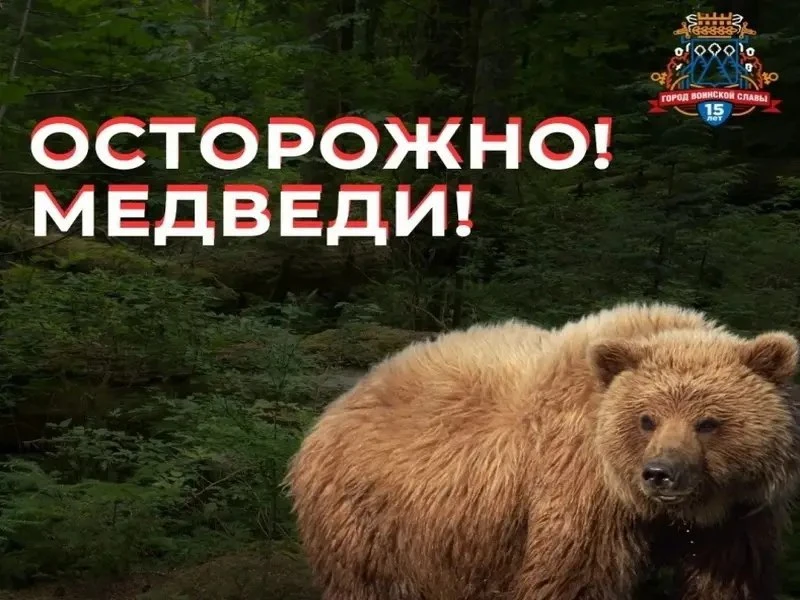 📌 Медведь прогулялся по вечернему Петропавловску