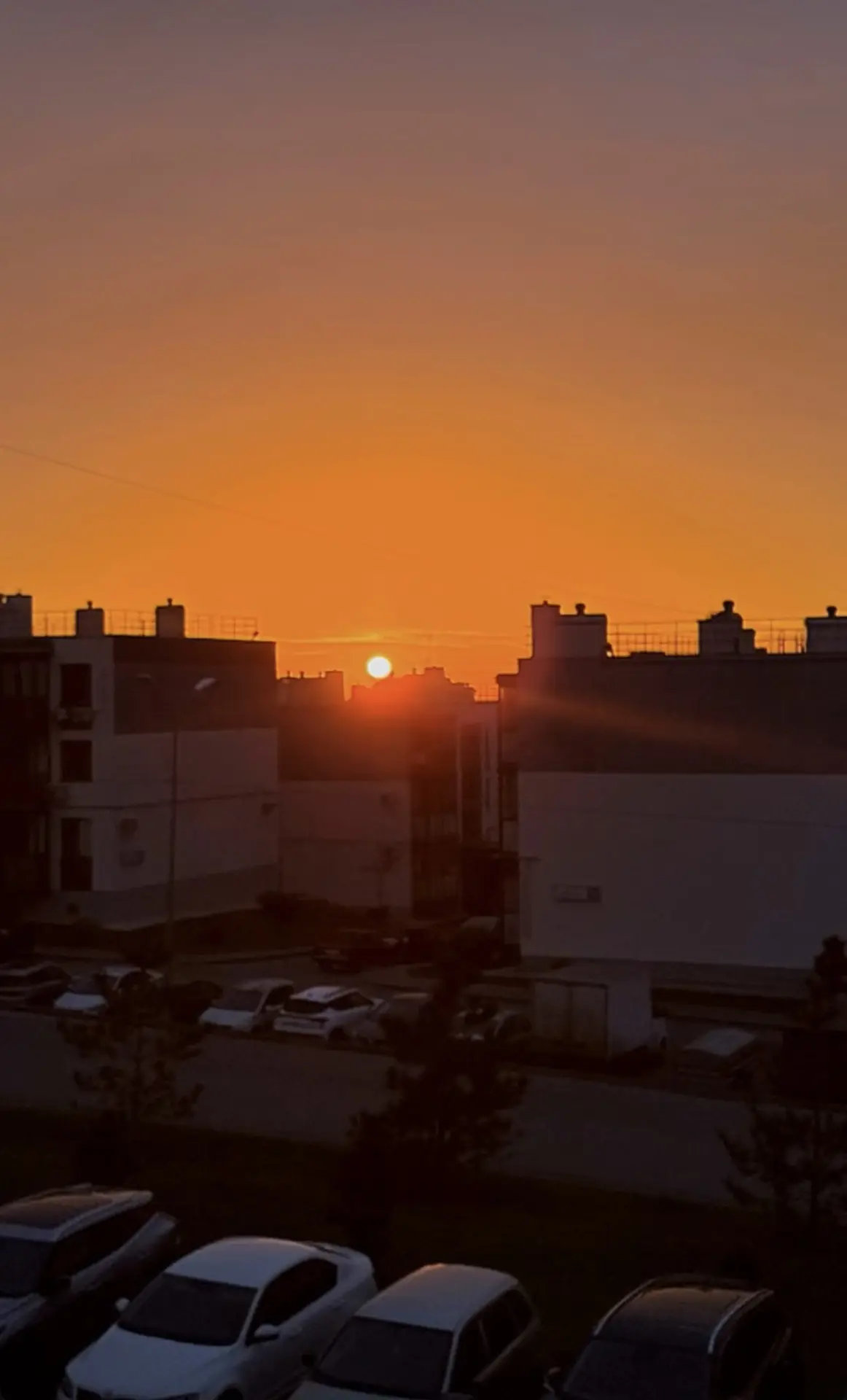 Доброе утро, Долина! ☀️