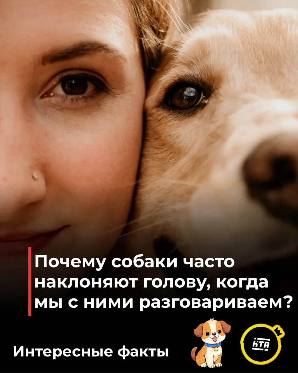 🐶🧐Интересный факт: почему собаки часто наклоняют голову, когда мы с ними разговариваем?