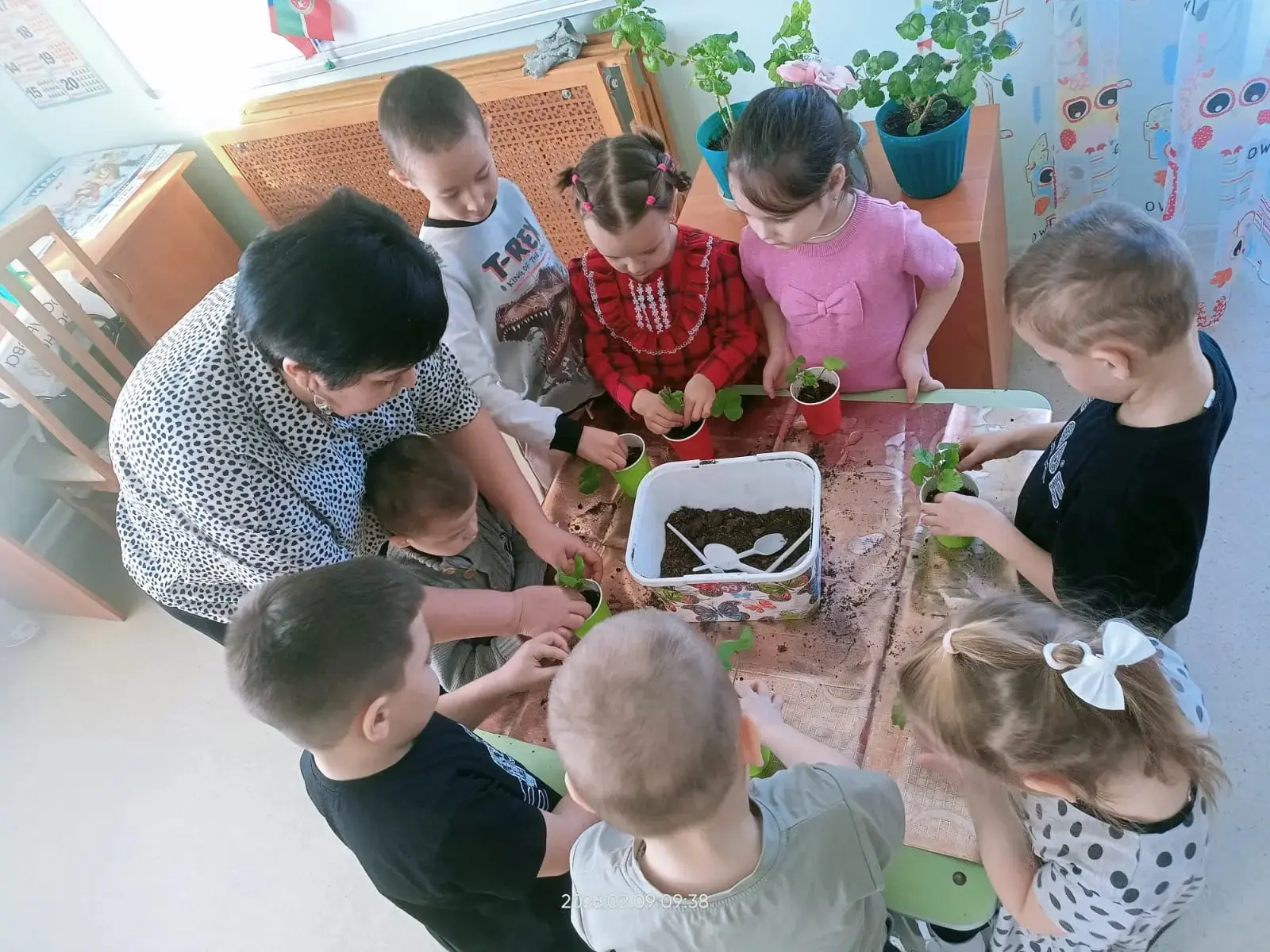 Тиздән яз җитә. Балалар бүлмә гөлләре тәрбияләү серләрен өйрәнделәр, яран гөлләренең яш...