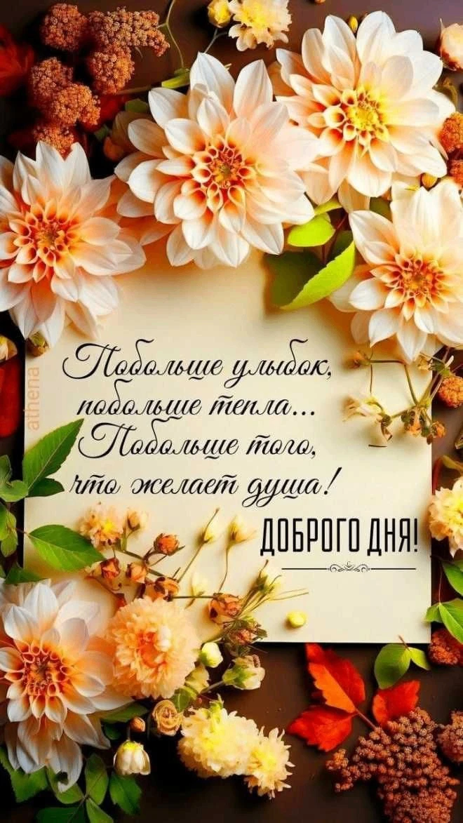 Доброго дня!