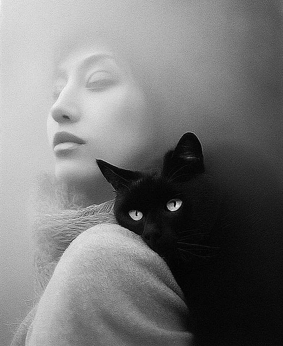 Доброе утро .... 🖤💞🩶