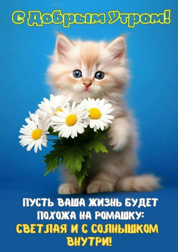 🥰 Оставляйте реакции, если понравилась открытка и делитесь с близкими ❤️