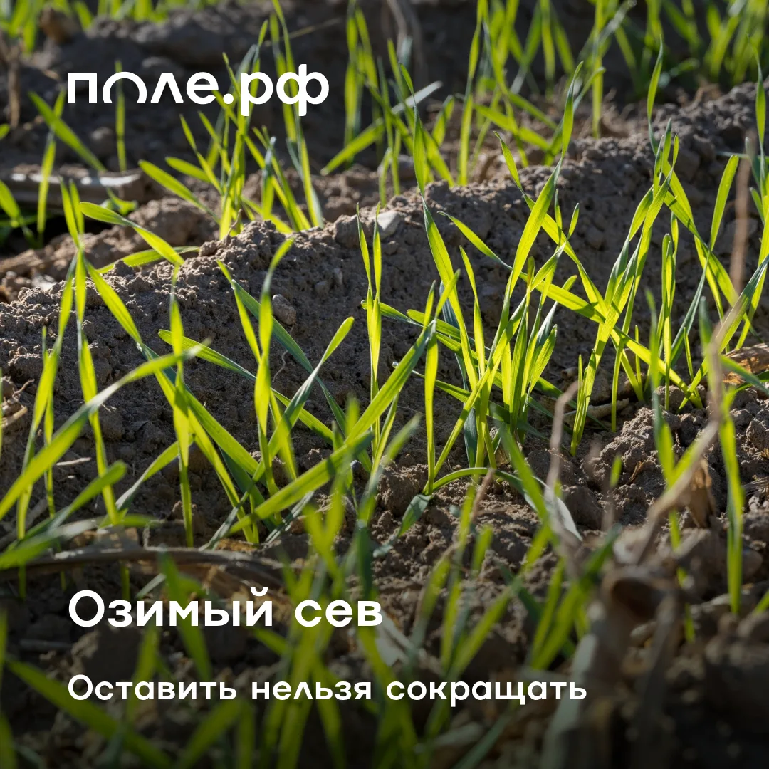 🧑‍🌾 Аграрии вновь проходят испытание на прочность