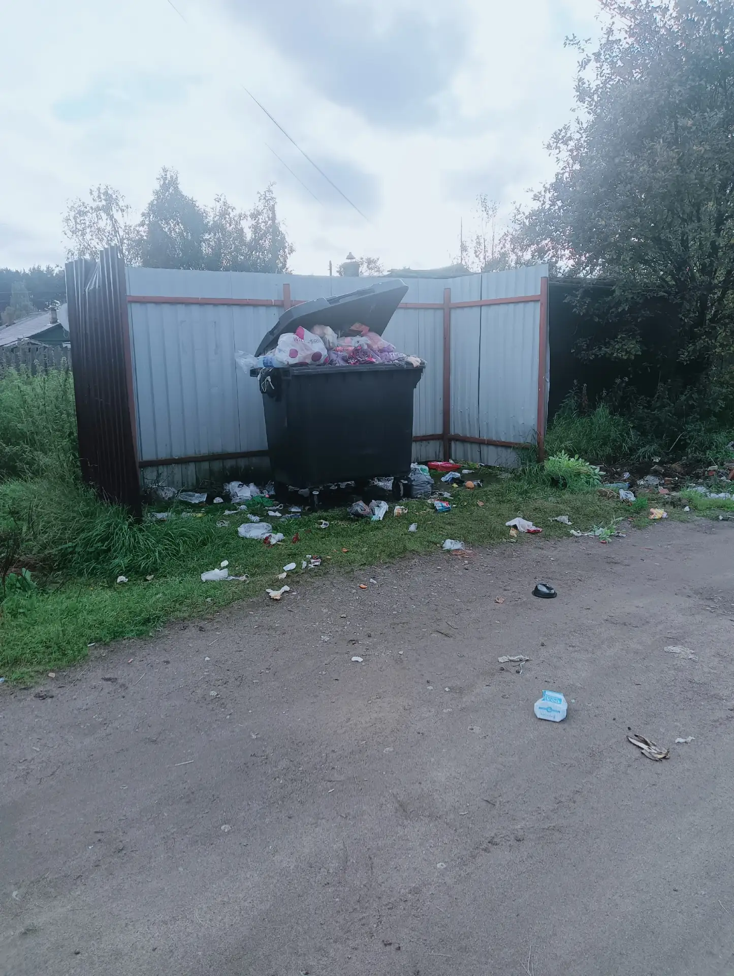 Нам теперь через день надо просить, чтобы мусор вывезти? Как не следи за чистотой вокру...