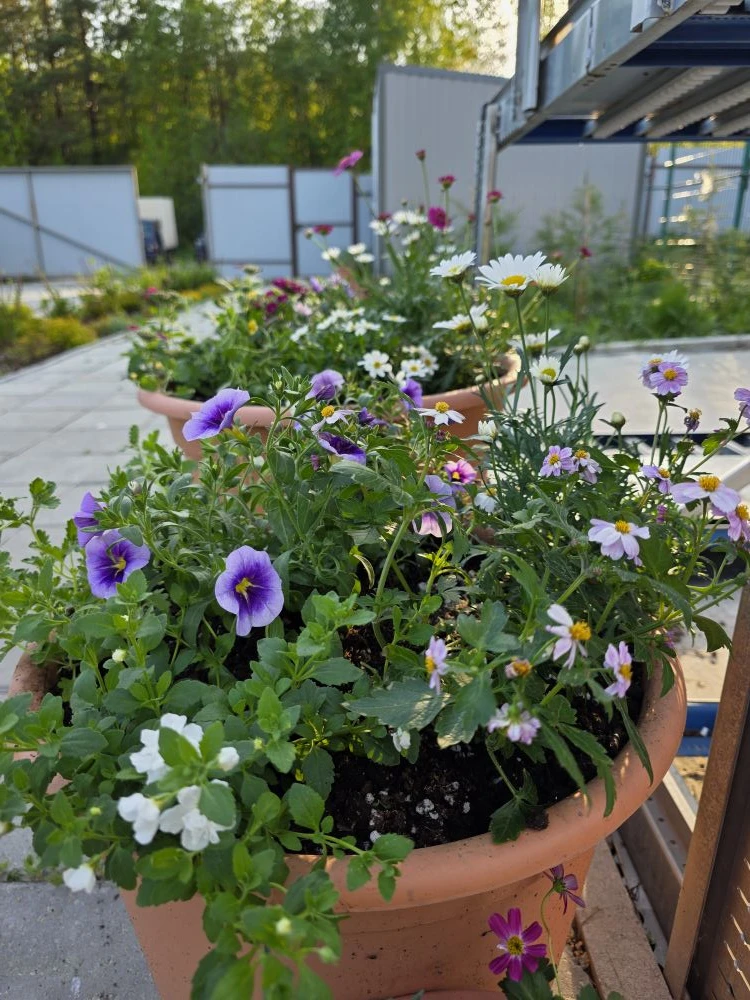 Бесконечный простор для творчества. Люблю свою работу 🌱😍