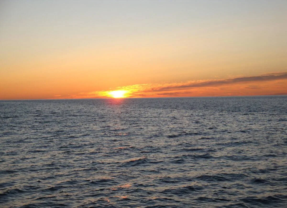 🌊 В Азовском море объявили начало заморного периода
