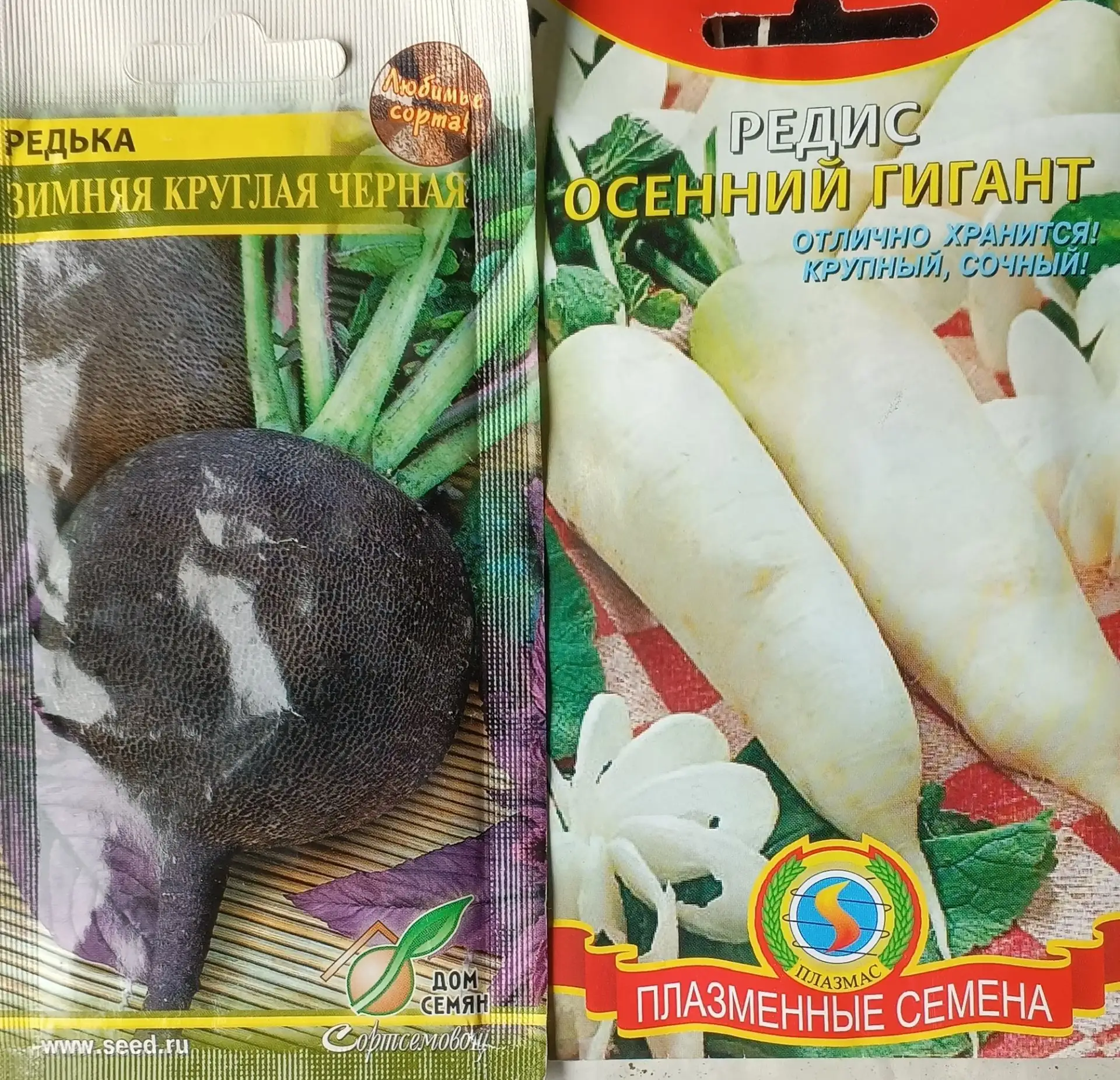 Настал июль, уходят из нашего края белые ночи 🌑.