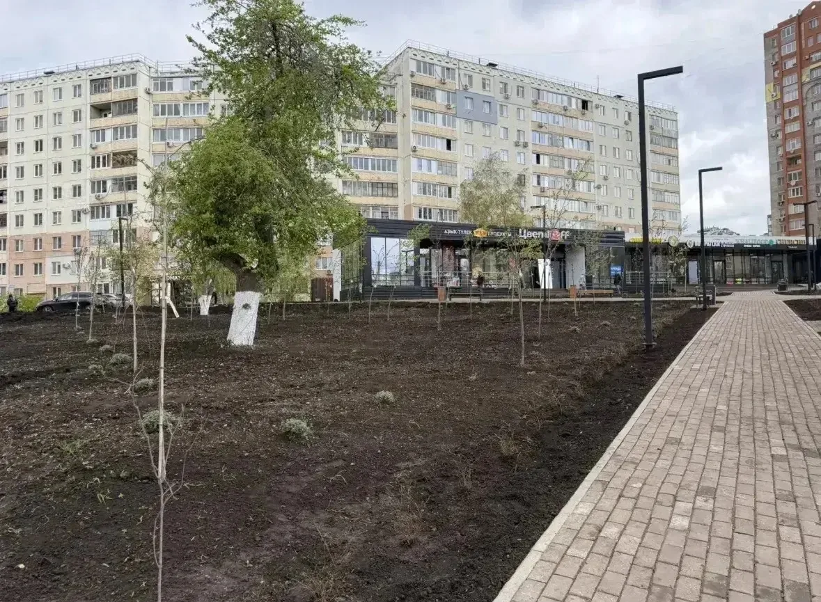 185 тысяч деревьев, 1,7 миллиона саженцев и кустарников, больше тысячи новых зеленых зон в городах и