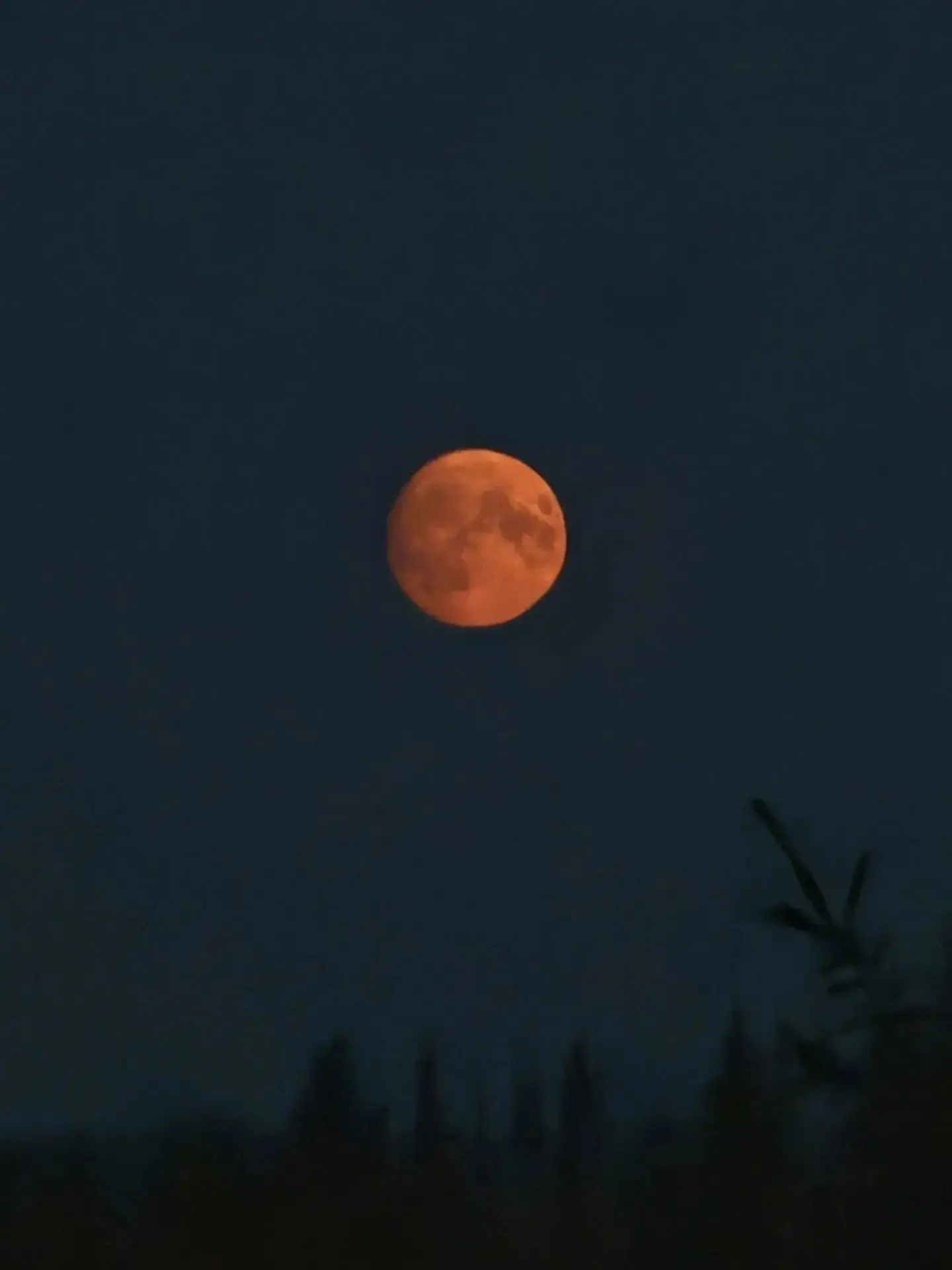 Сегодня ночью Очень красивая луна 🌒🌒 

‼Все срочные новости в нашем МАХ https://max.ru/podslushano