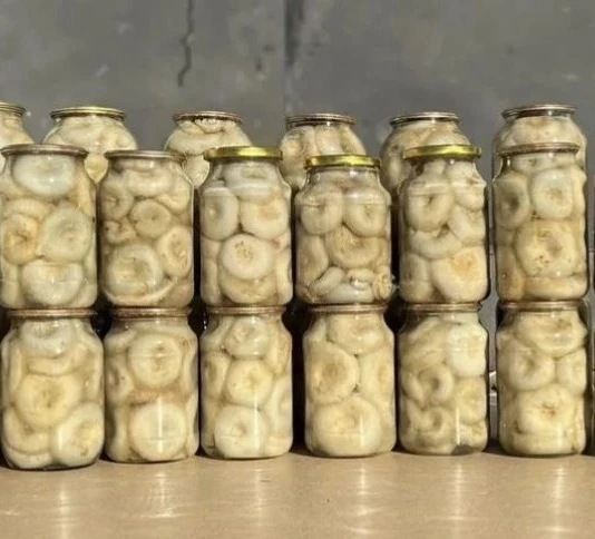 Грузди  соленые (свежего урожая)