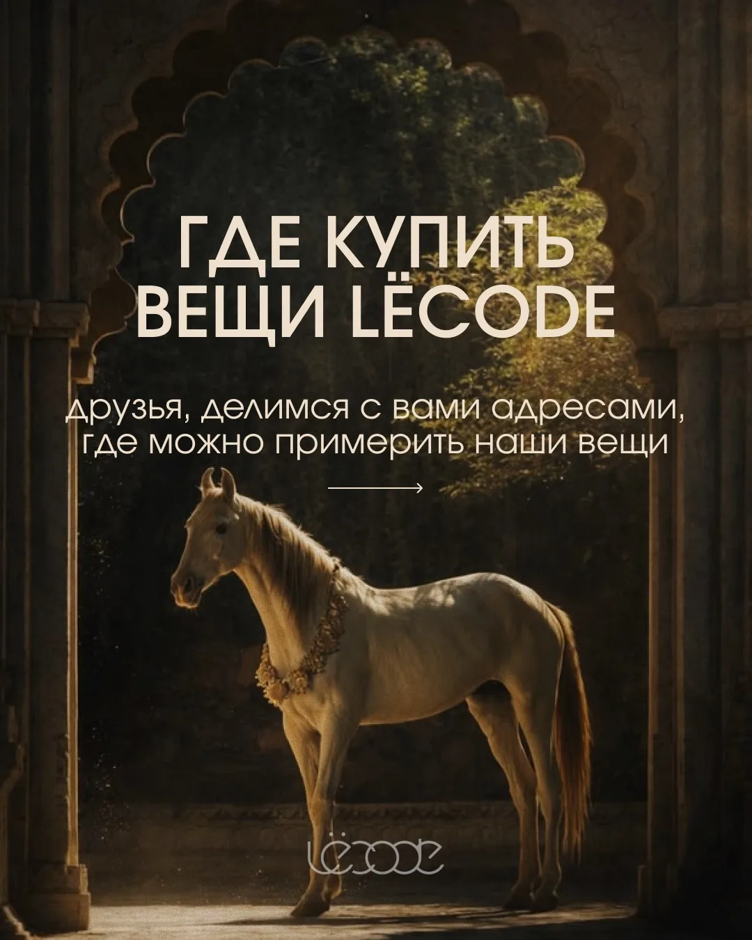 Где купить вещи LëCode?