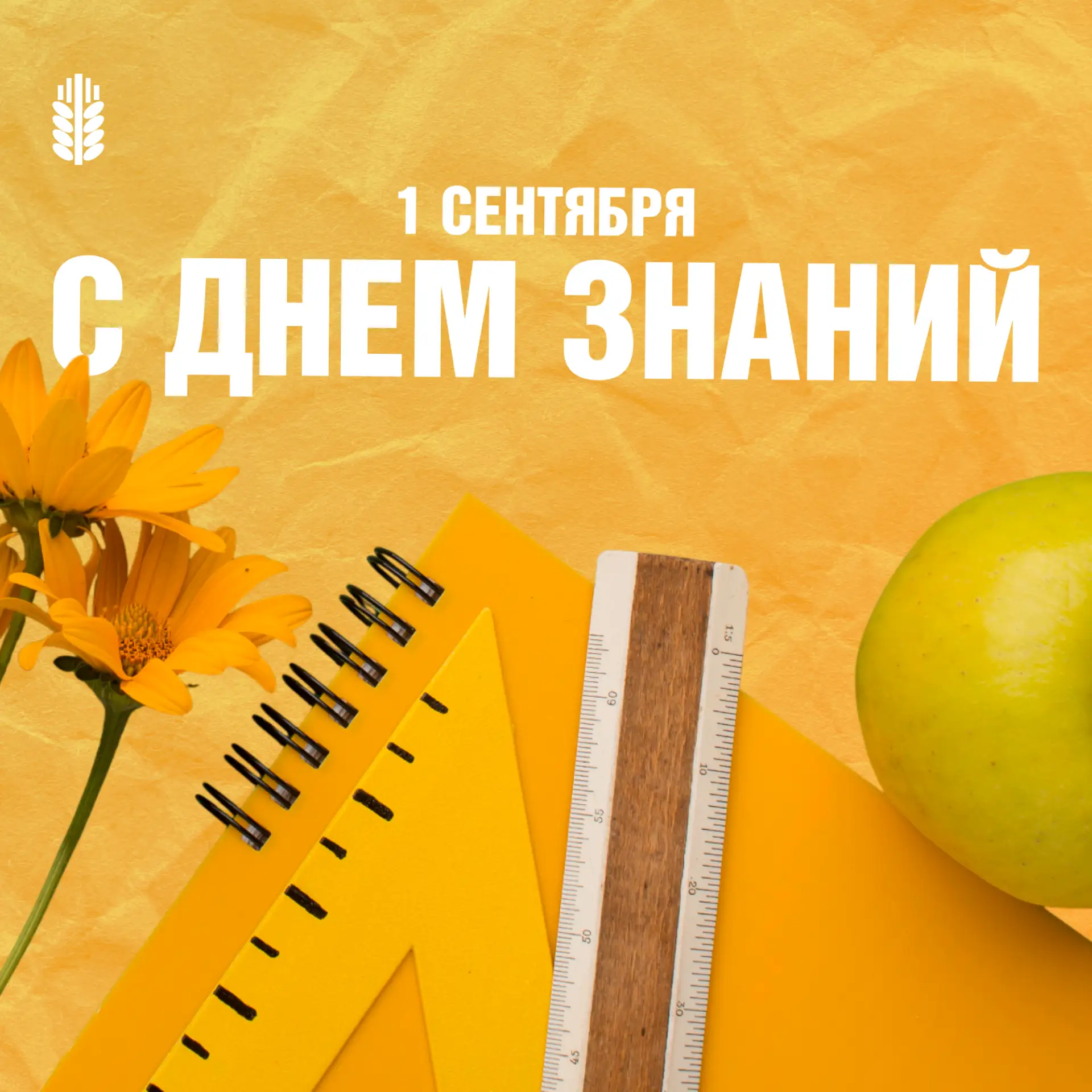 Пусть знания открывают новые возможности
