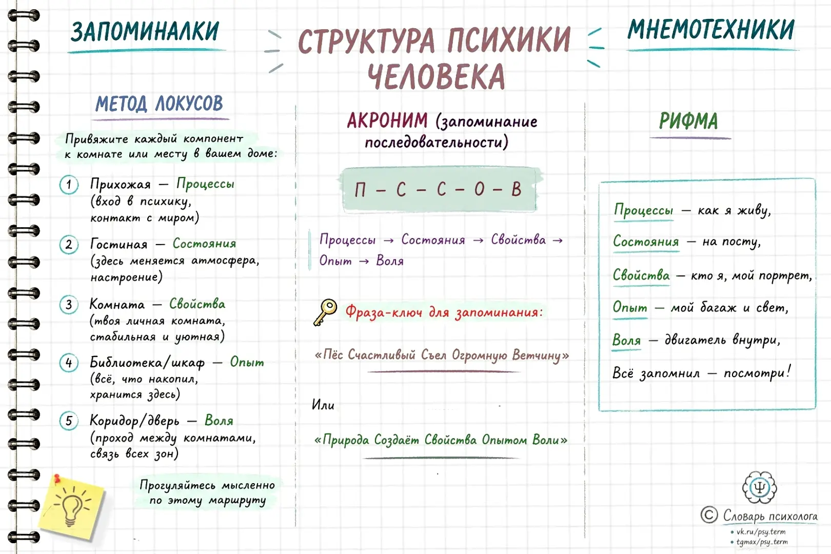 #запоминалки_term, #p_term