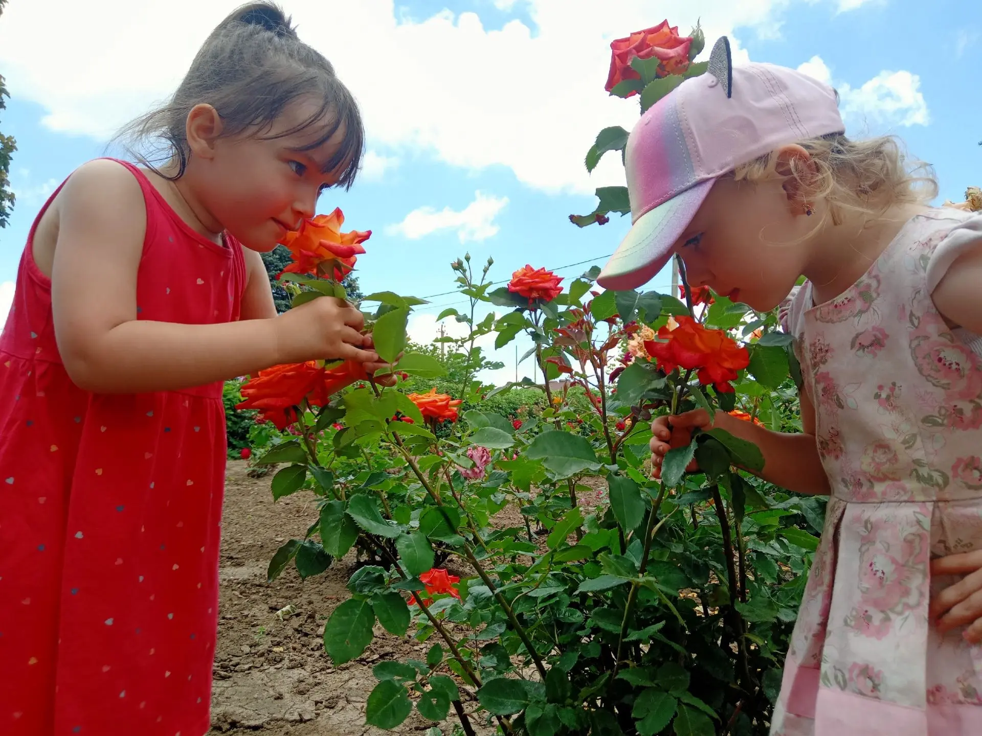 🌺🏵️🌸 МАДОУ №5 «Золотой ключик» станицы Ленинградской, Краснодарского края — участник V ВСЕРОССИЙС