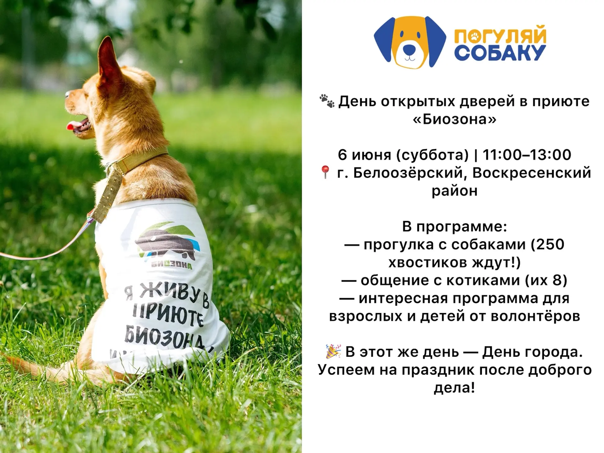 Друзья, приглашаем на День открытых дверей с командой Погуляйсобаку.рф! 🐾🎉