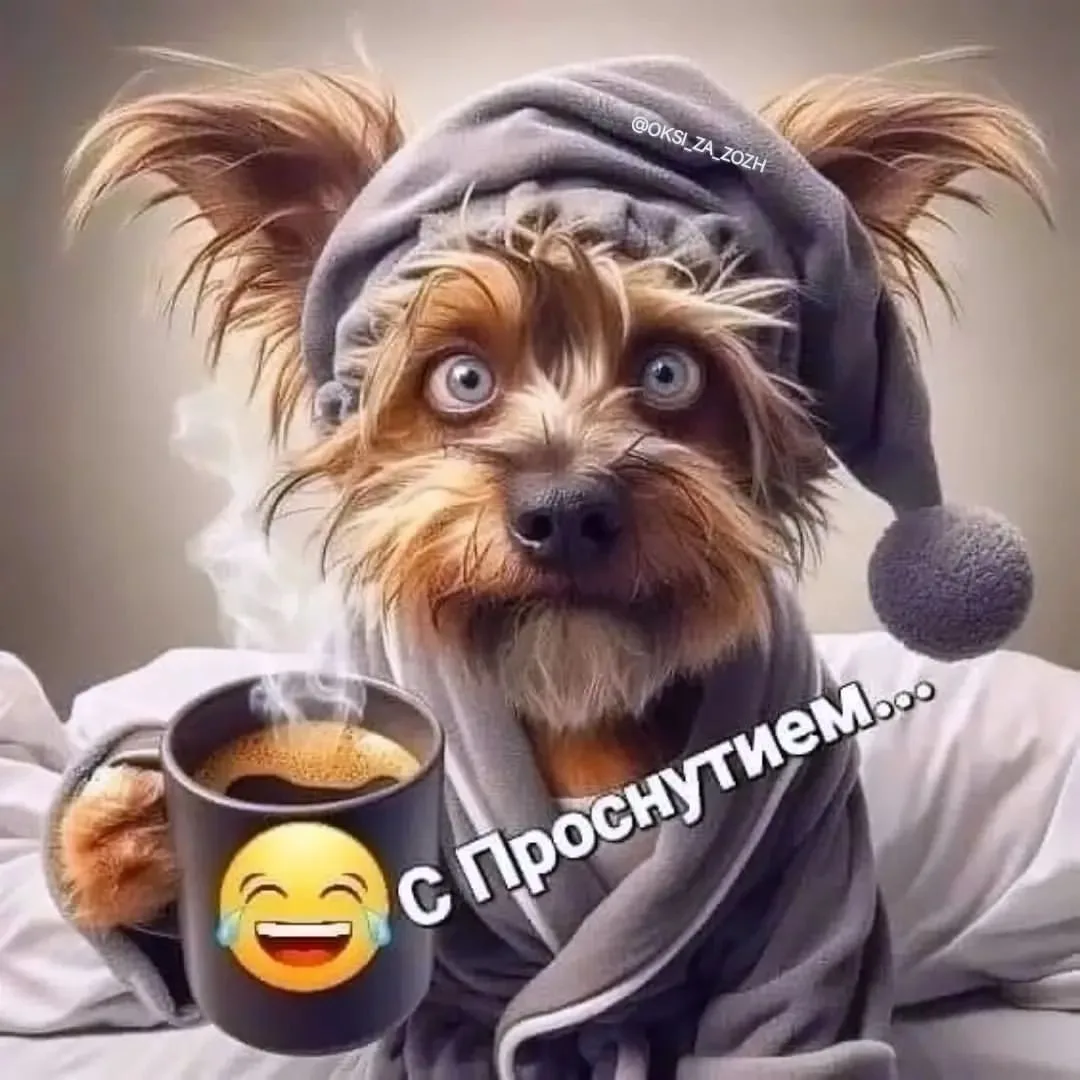 😁 Лови заряд позитивного