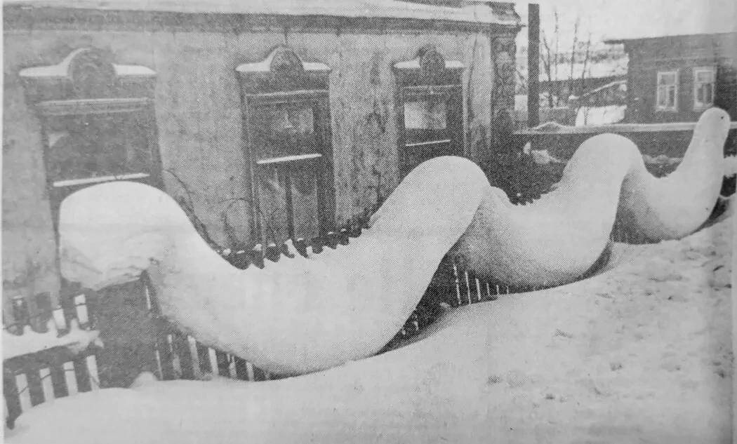 «Снежный дракон». 1991 год.