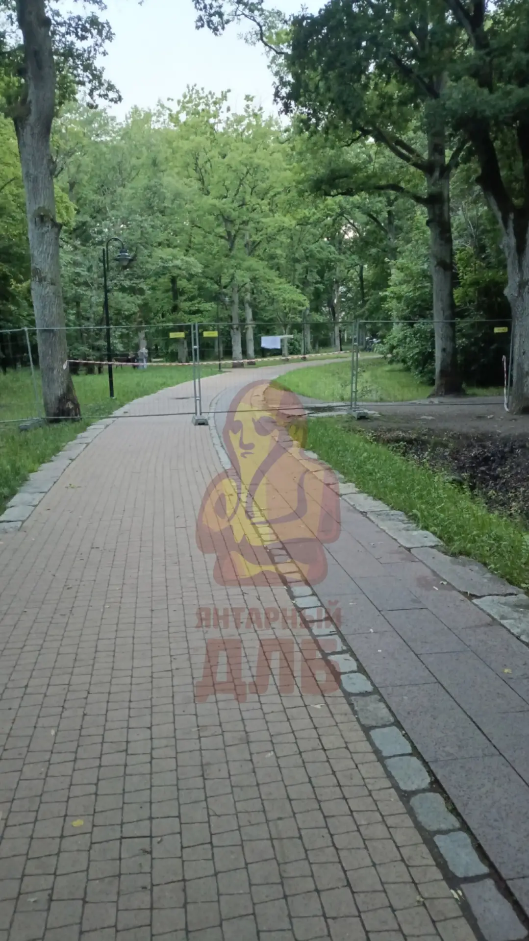 ЯНТАРНОЕ ОГРАЖДЕНИЕ

В Ашманн-парке перегородили пешеходную зону из-за старого дерева. Идти вдоль оз