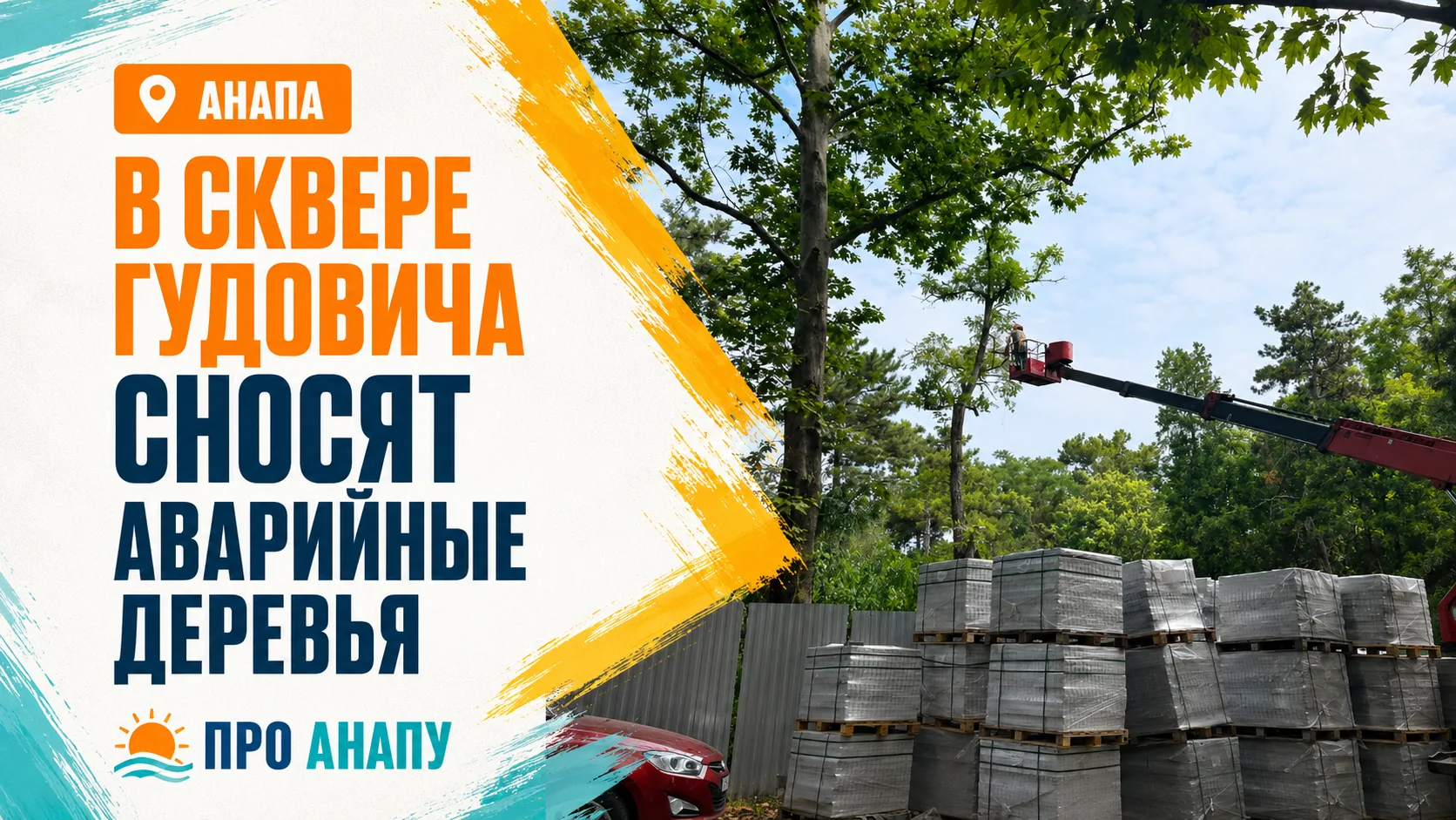 В сквере Гудовича в Анапе сносят аварийные деревья: новые высадят осенью