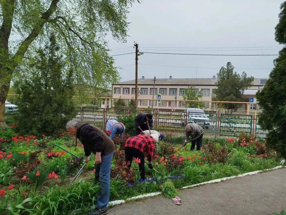 В нашем детском саду прошла
Экологическая акция «Зелёный детский сад», посвящѐнная Году дошкольного

