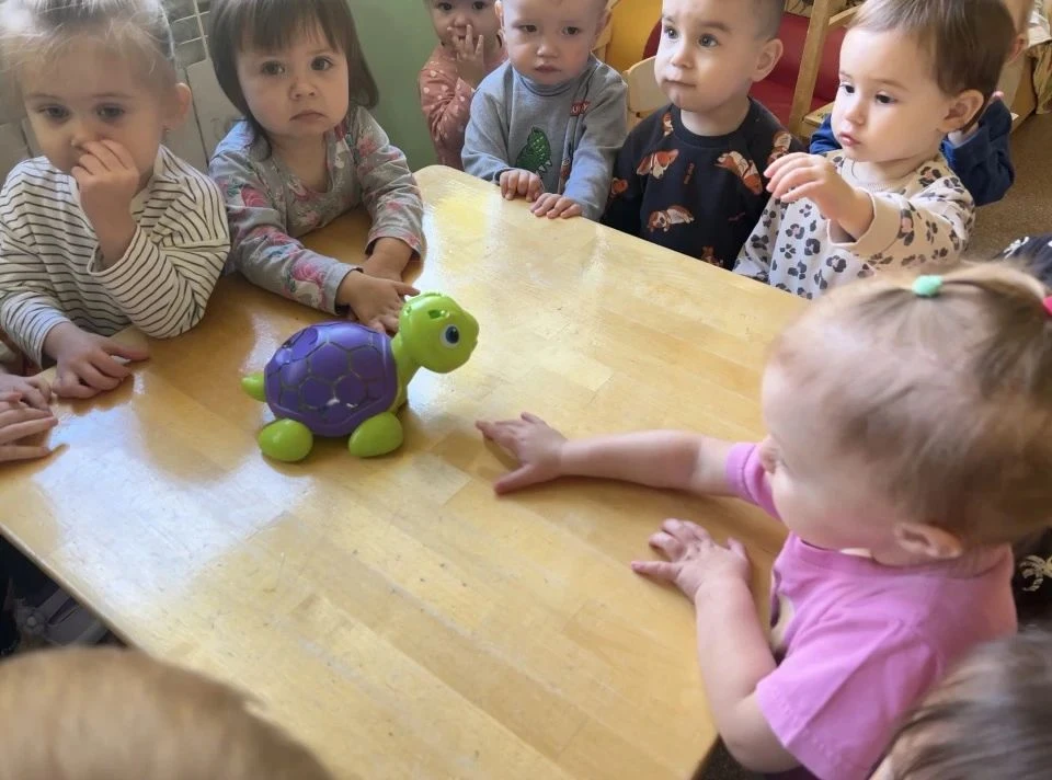 🐢 Черепашки от наших малышей! 🐢