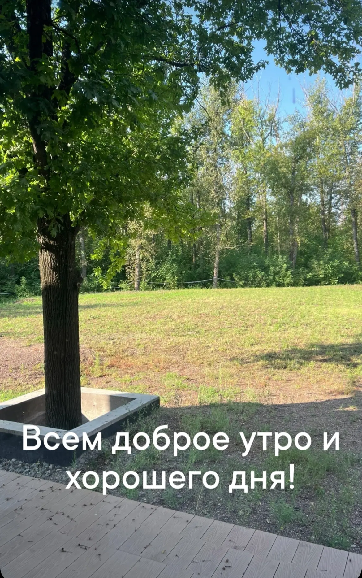 У меня в планах на сегодня прием, организационные вопросы, косметолог и дела девочек.

У девочек сег