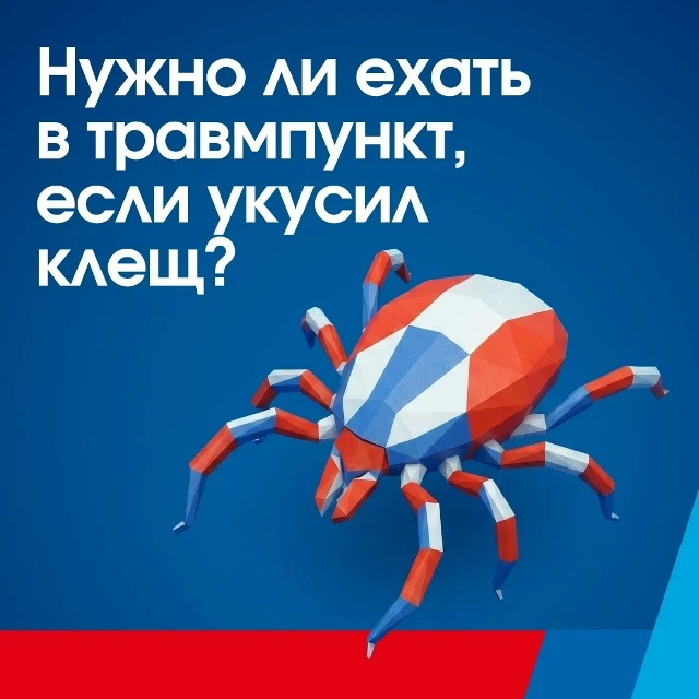 Клещи вышли на охоту