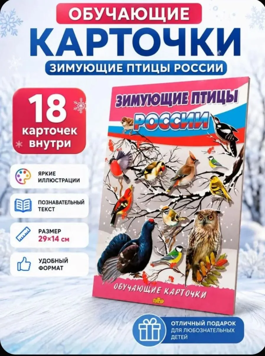 Обучающие карточки Зимующие птицы России, 18 шт
