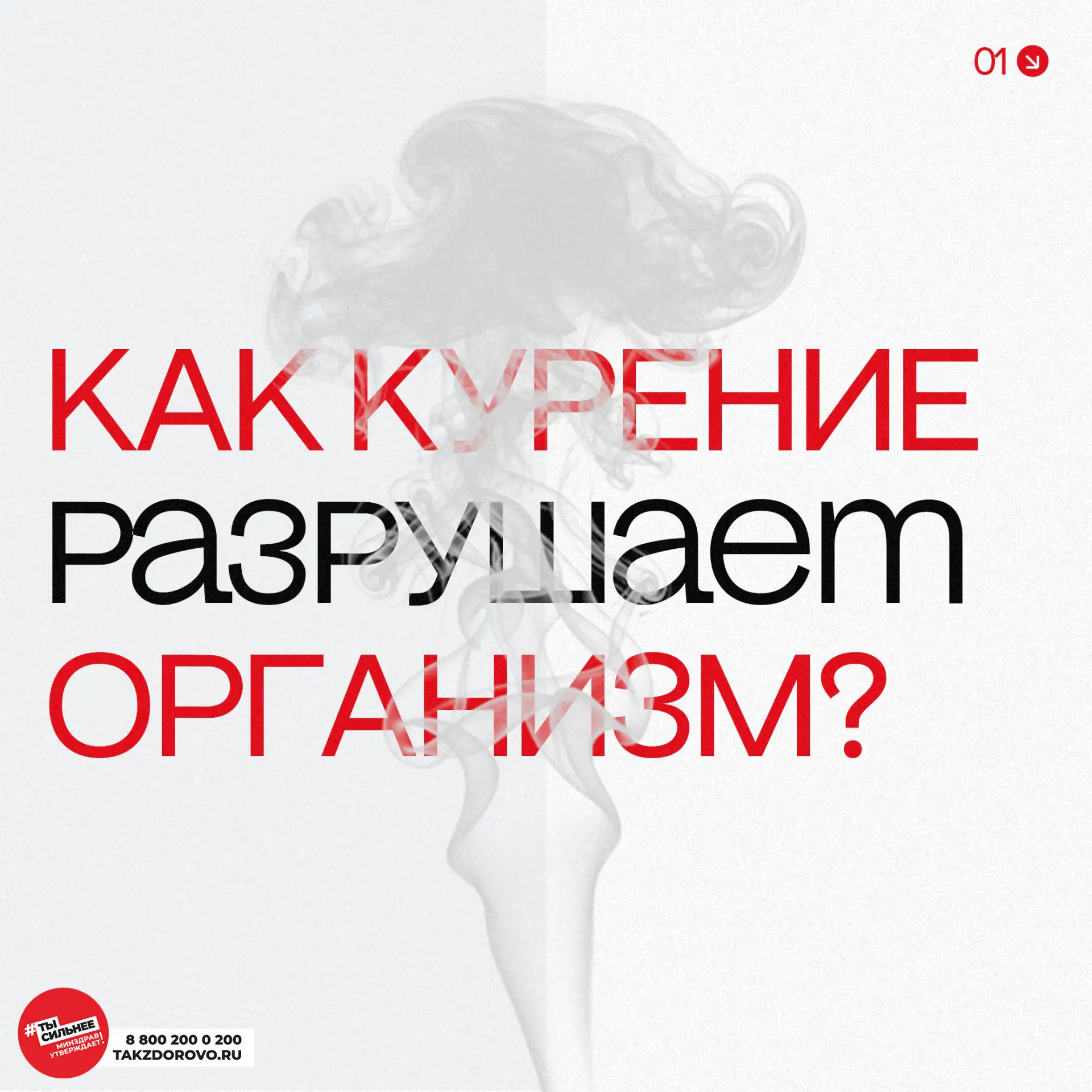 ☠️ Говорят: «Курение убивает»

❗️И это не преувеличение: жизнь курильщика в среднем короче на 10–12 